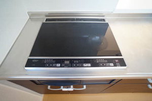 セレナヴィラ 202号-9