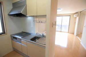 ノースフォレストＡ A202号-10