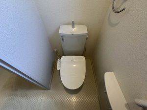 プレシャイン 101号-9