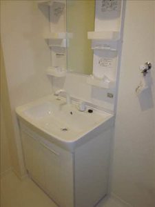 パス・アミーゴ　Ⅱ B102号-11