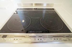 メゾンマスト青柳 102号-4