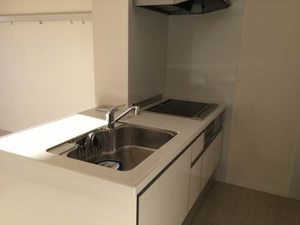 メゾンマスト高坂 203号-8