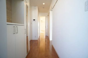 メゾンマストなみ木 206号-10