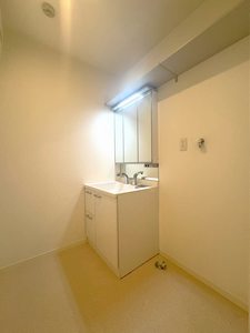 メゾンマストなみ木 301号-10