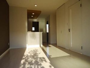 メゾン・リュウキンカ A101号-3