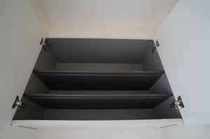 リヴィエール桜　Ⅱ B101号-7