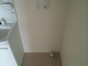 グランディーナ開成ＭＳⅡ 101号-8