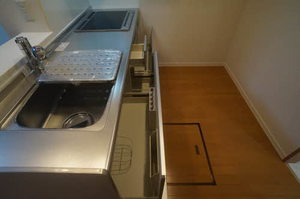 ヒルズコート田中 102号-11