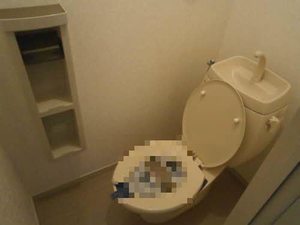 エスポアール・メイビ 101号-11