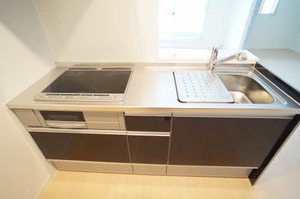 トリニテラッセ 303号-11