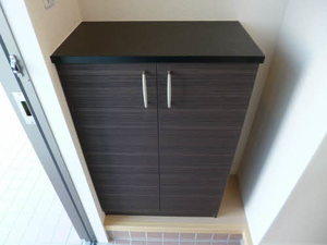 メゾンルミエール 202号-3