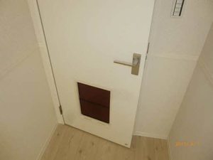 シャーメゾン　グランデージⅠ 105号-9