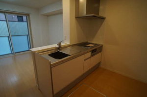 ｖｉｌｌａ・ｒｉｅｎｔ土樋 203号-3