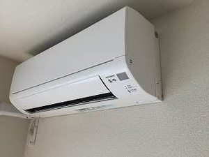 Ｅｔｅｒｎａｌｌｙ　Ⅱ B203号-12