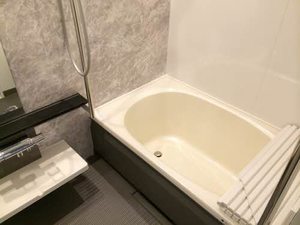 ルナ沖野 102号-5