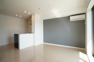 シュエットメゾン壱番館 B203号-3