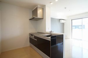 シュエットメゾン壱番館 B203号-4