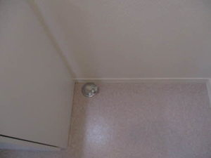 ウィル桑野 102号-4