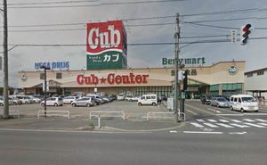 シャーメゾン ローレルⅢ 101号-11
