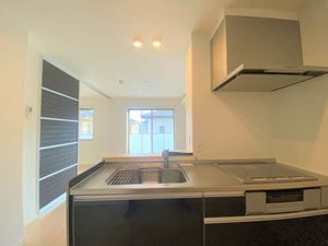 メゾンアイリス 202号-3