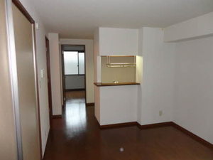 メゾンパークス平成 102号-6