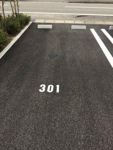 シャーメゾン　ベレオ　ＳＲ 301号-12