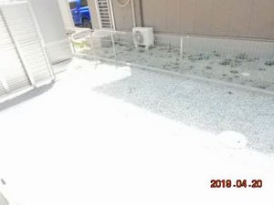 ベアズバリー 101号-10