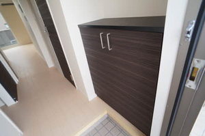 ＳｈａＭａｉｓｏｎ　Ｌａｋｉ B101号-2