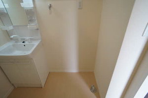 ＳｈａＭａｉｓｏｎ　Ｌａｋｉ B101号-8