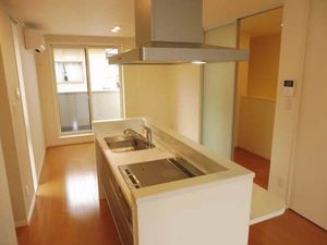 ｌｅ　ｍａｇｎｏｌｉａ　薬師堂 202号-2