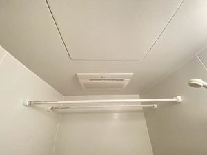 ブルースカイ柏木 202号-9