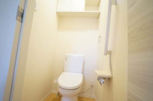 Ｌａ　Ｍａｉｓｏｎ　ＮＯＡ 203号-11