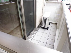 ｆｏｒｅｓｔ　ｔｗｏ 102号-9