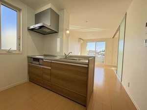 ヴィアソーレ B201号-4