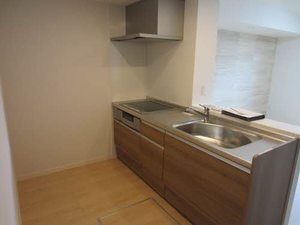 ヘリオスⅢ 203号-12