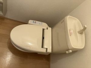 コーポ鳥海Ⅱ 101号-11