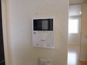 シャーメゾントミーＣ C202号-11