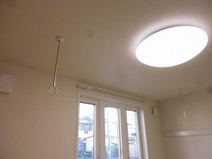 ココ　シャルマン　Ｂ B103号-11