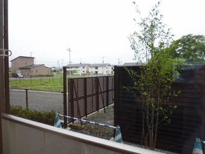 ｓｏｍｍａ　ｎｏｖｅ（サム　ノーヴェ） 103号-10