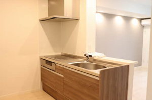 ＶＩＬＬＡ新町 303号-3