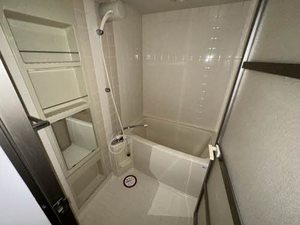 グリーンキャピタル肴町 805号-6