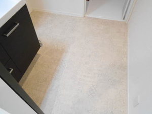 トゥーツリーズ城下町 301号-7