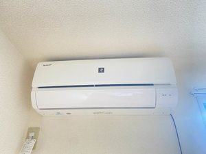 リィ・シイン 103号-11