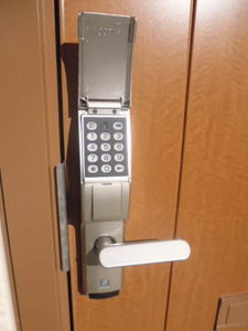 ルピナス　Ａ A205号-2