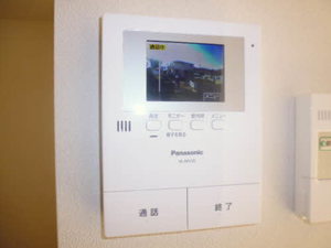 ルピナス　Ｂ B201号-4