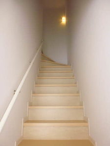 ルピナス　Ｂ B201号-5