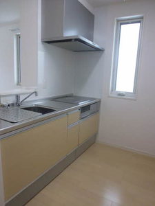 ルピナス　Ｂ B201号-10