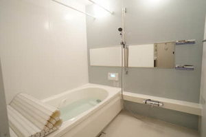 メゾンリバレイン 101号-8