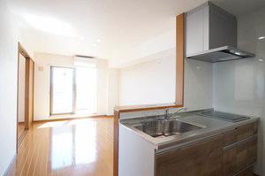 マンションドム北福島 301号-2