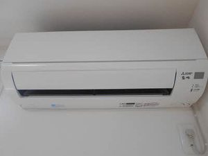 シャーメゾン　シェルフ 201号-11